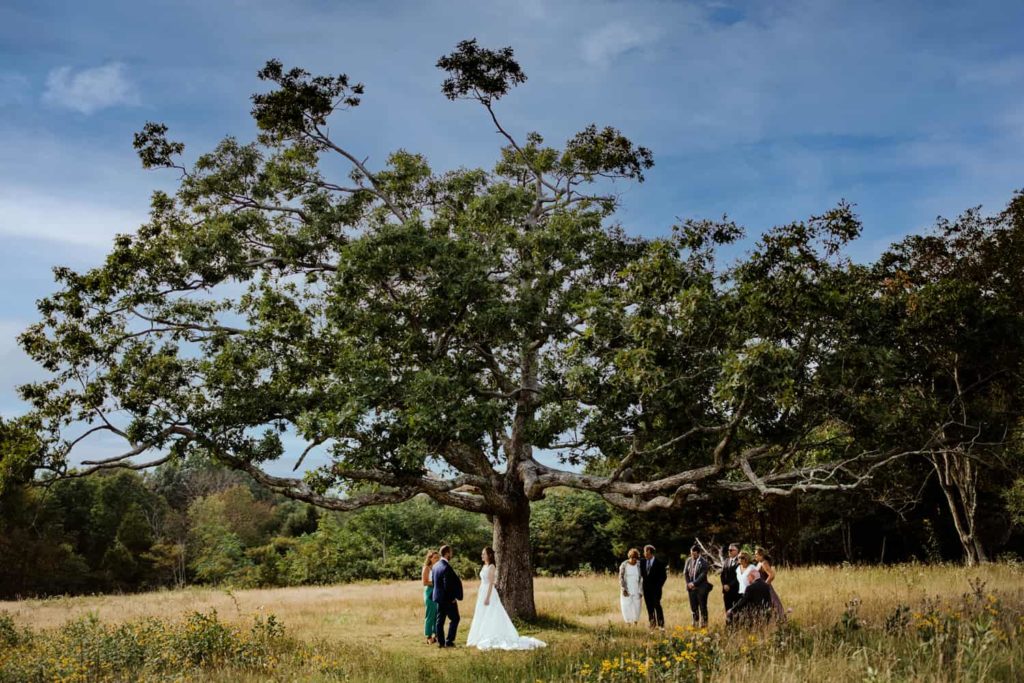 A micro wedding ceremony held at an overlook in Shenandoah National Park
