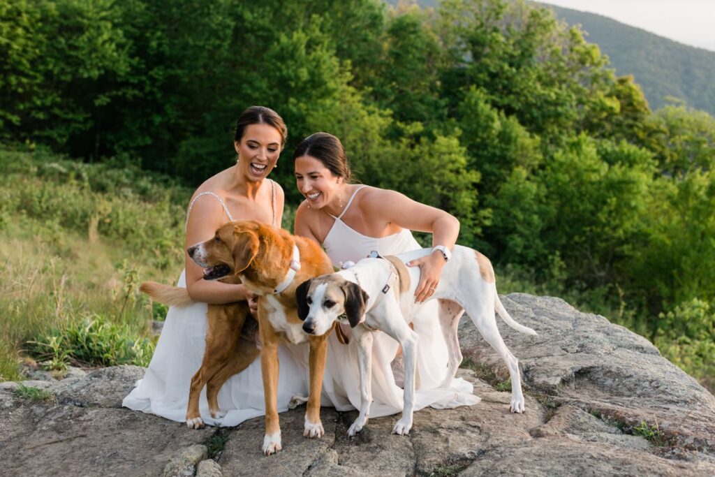 A female couple in wedding attire snuggles with their dogs in Shenandoah National Park