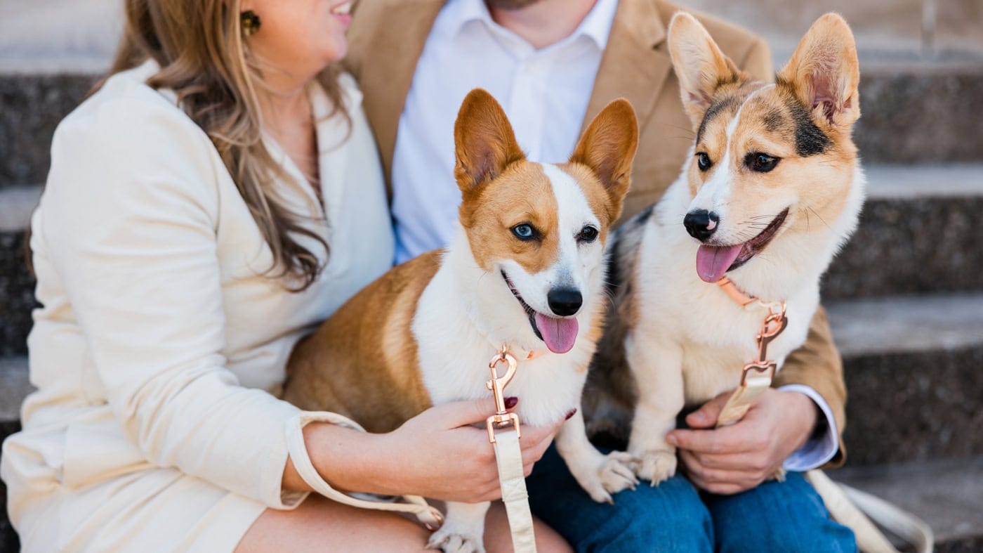 A couple snuggles with their dogs in downtown Roanoke